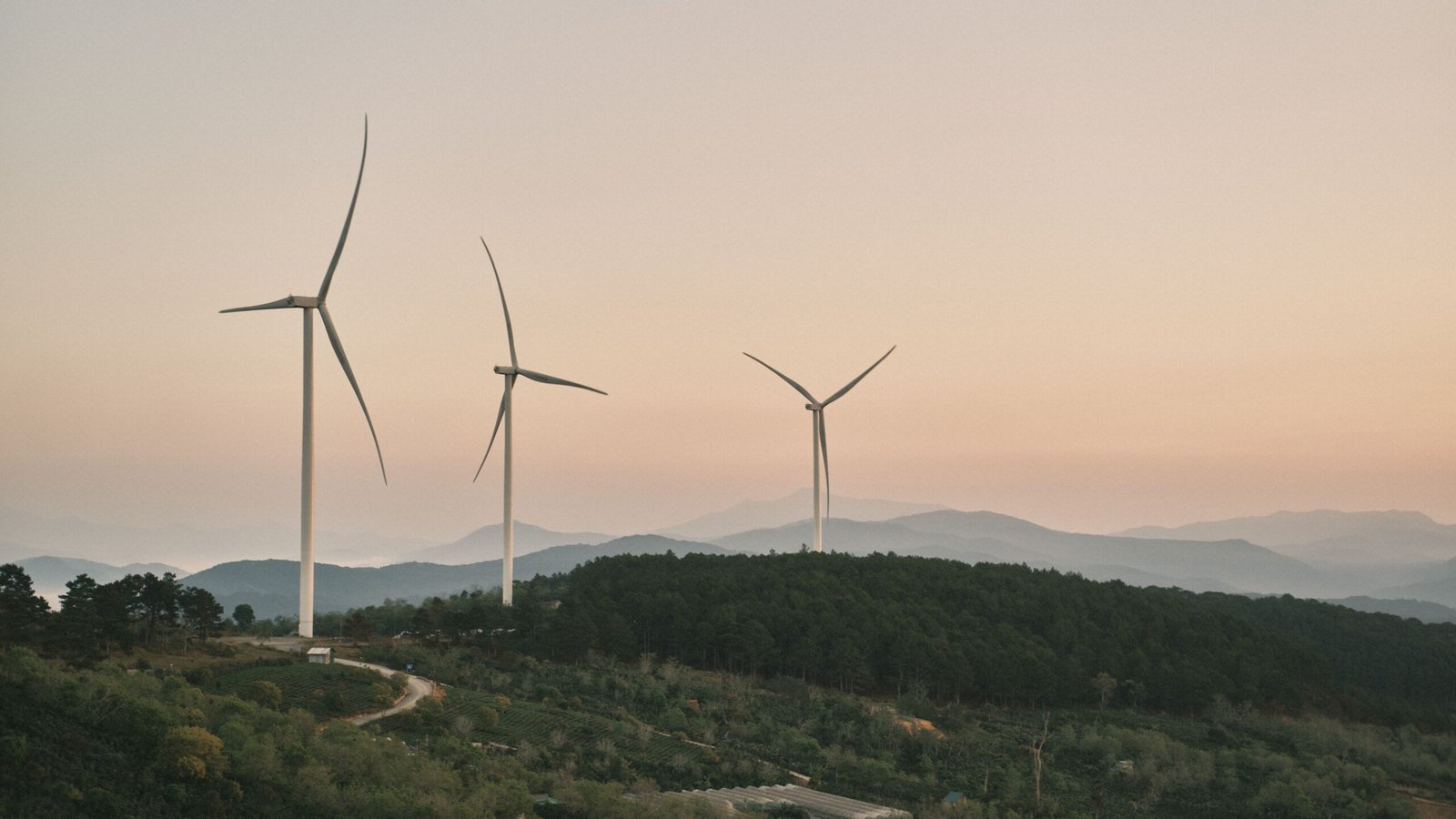 Scenic view of wind turbines over a misty forested landscape at sunrise, emphasizing renewable energy.